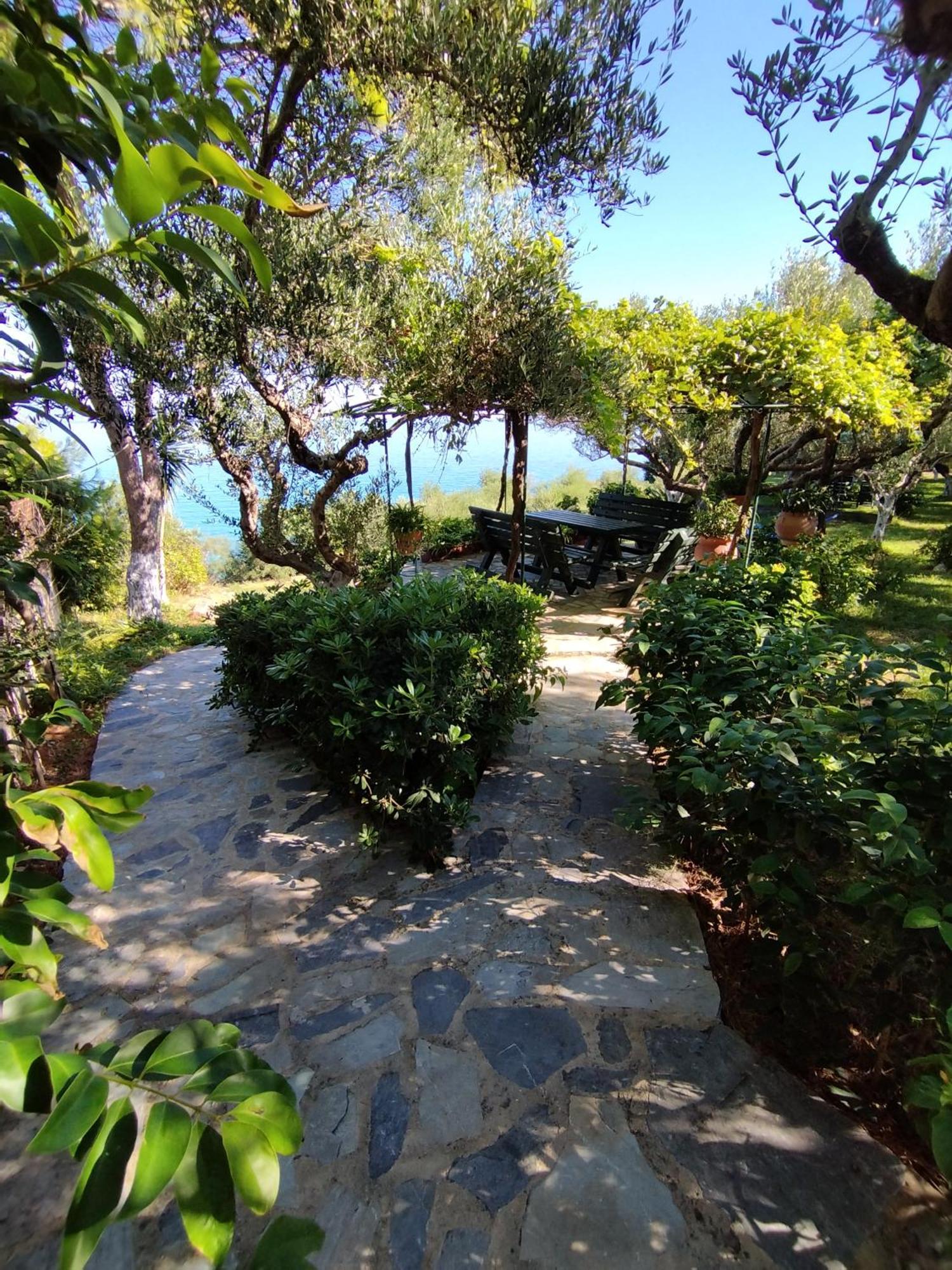 אמודי Villa Agia Aikaterini מראה חיצוני תמונה