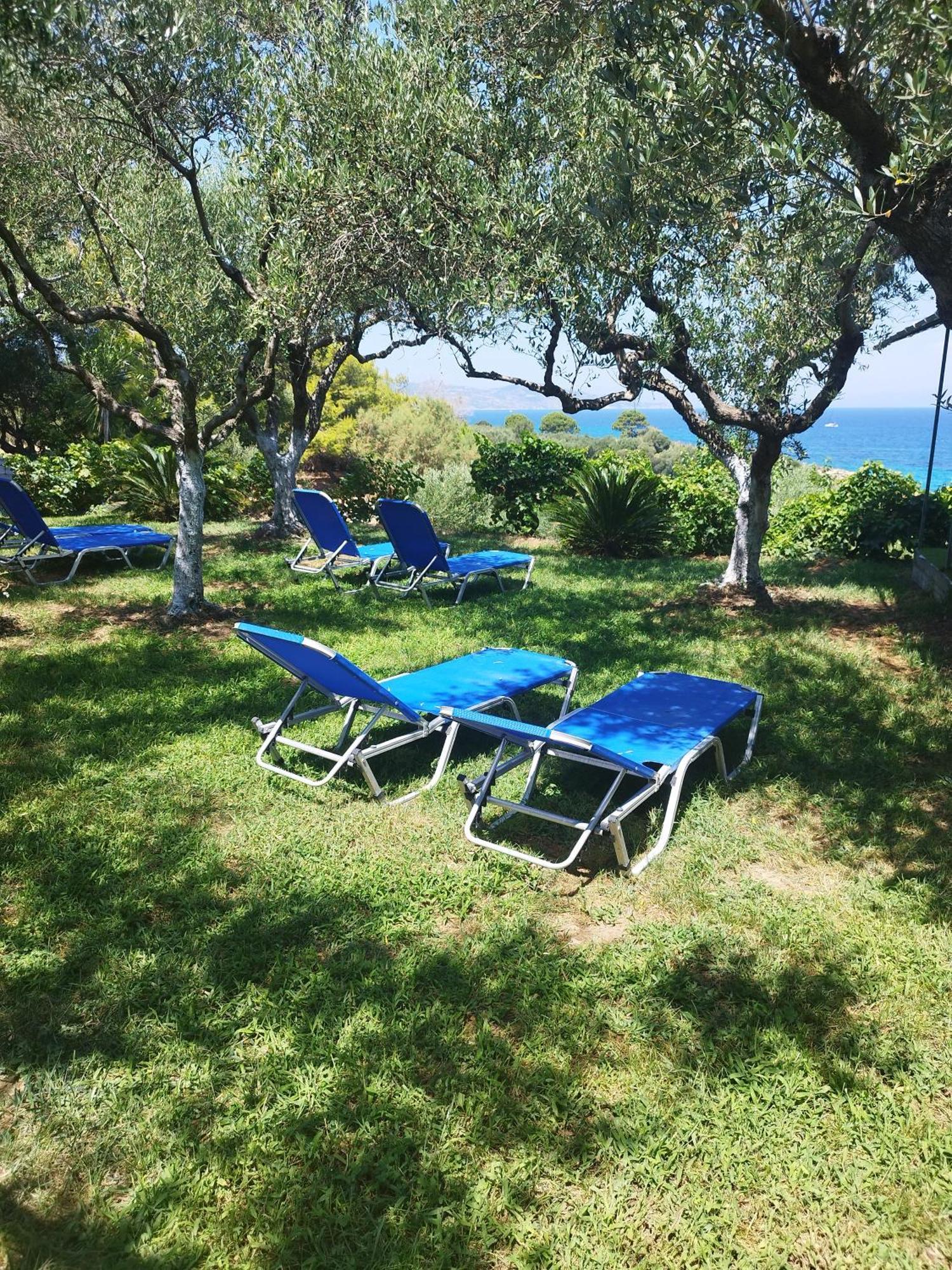 אמודי Villa Agia Aikaterini מראה חיצוני תמונה