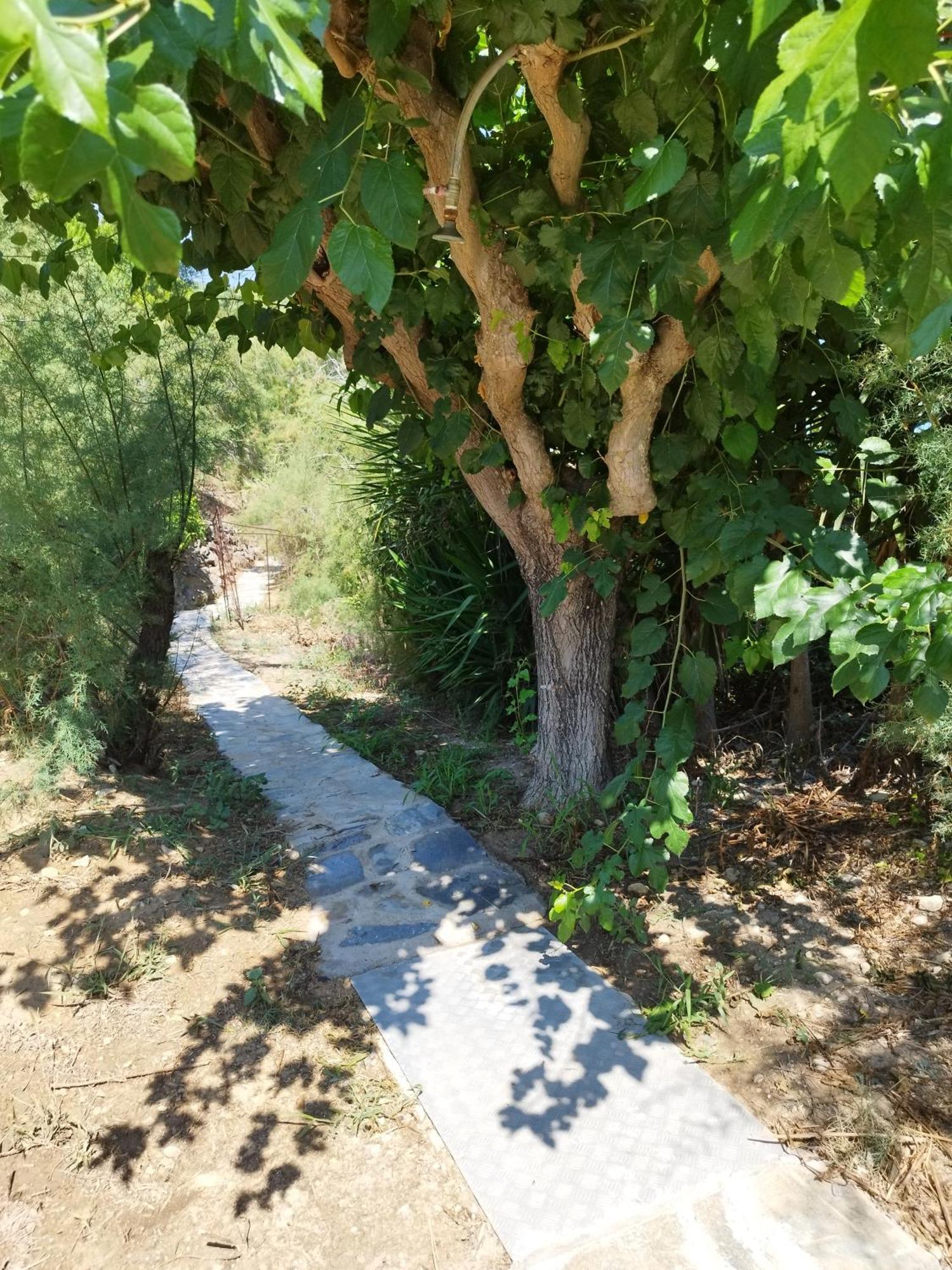 אמודי Villa Agia Aikaterini מראה חיצוני תמונה
